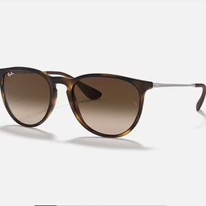 Ray-Ban Erika Tortoise Sunglasses